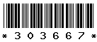 303667