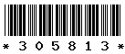 305813