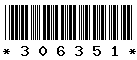 306351