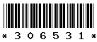 306531