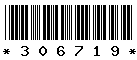 306719