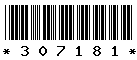 307181