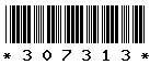 307313