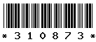 310873 310873