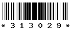 313029