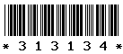 313134 313134
