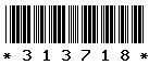 313718 313718