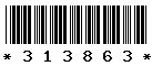 313863