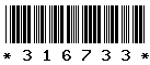 316733