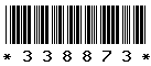 338873 338873