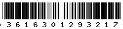 3616301293217