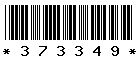 373349