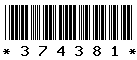 374381 374381