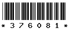 376081 376081