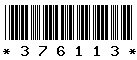 376113 376113