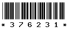 376231 376231