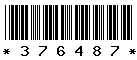 376487 376487