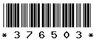 376503 376503