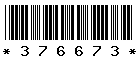 376673 376673