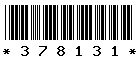 378131 378131