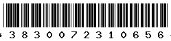 3830072310656