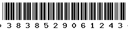 3838529061243