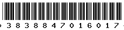 3838847016017