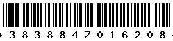 3838847016208
