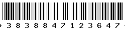 3838847123647