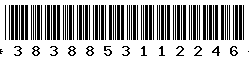3838853112246