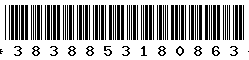 3838853180863