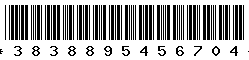 3838895456704