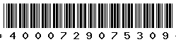 4000729075309