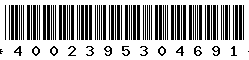 4002395304691