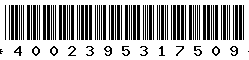 4002395317509