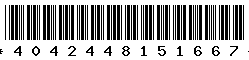 4042448151667