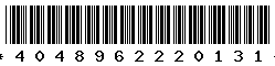 4048962220131