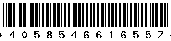 4058546616557