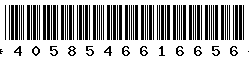 4058546616656