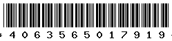 4063565017919