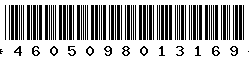4605098013169