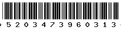 5203473960313