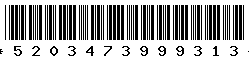 5203473999313