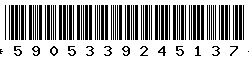 5905339245137