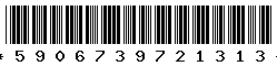 5906739721313