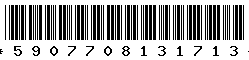5907708131713 5907708131713