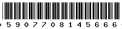5907708145666