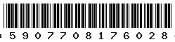 5907708176028