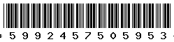 5992457505953
