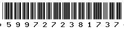 5997272381737